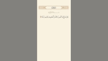 SURAH TAHA AYAT 102|١٠٢|سورة طه آيت BY QARI MUHAMMAD IQBAL BIN AHMAD #quraan #quranic #qurantilawat