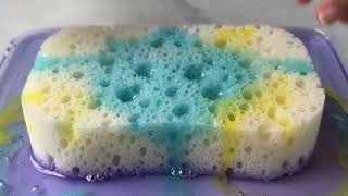 🧽 ASMR | Colorful Sponge Absorbing Water 💦🌈