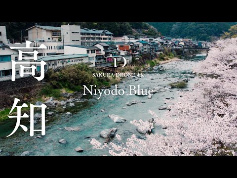 [4K SAKURA] 高知県仁淀川町仁淀ブルーとひょうたん桜 / Niyodo Blue and Hyotan sakura, Niyodogawa, Kochi | 桜ドローンプロジェクト2022