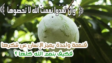 (وَإِن تَعُدُّوا نِعْمَتَ اللَّهِ لَا تُحْصُوهَا)سورة إبراهيم.#حالات_واتس #حالات_واتساب_دينية #حالات