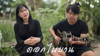 ดอกไผ่บาน - ออร์แกน Cover by Organ Like Studio 12,905 views 8 days ago 6 minutes, 14 seconds