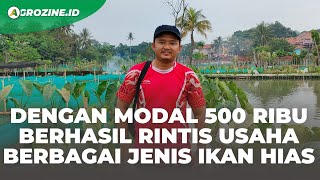 Belajar Tips Sukses Bisnis Budidaya Ikan Hias. Mulai dari Glofish, Manfish, Zebra, dan Banyak Lagi!