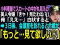 【スカッと】小料理屋でスカートの中が丸見えの美人令嬢「きゃ!見たわね?」俺「ええ…」白状すると➡3日後、会議室を訪れると美人令嬢が「もっと…見て欲しい♡」(感動)