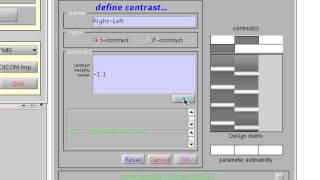 SPM Contrasts Wealth