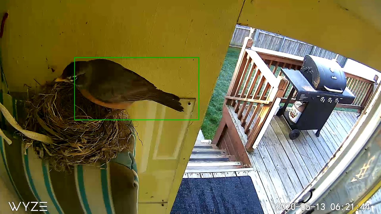 What is a Robin's nest used for? YouTube