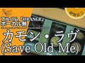 伊勢正三 カモン・ラヴ アアルバム「ORANGE」/ボーカル無しバージョン