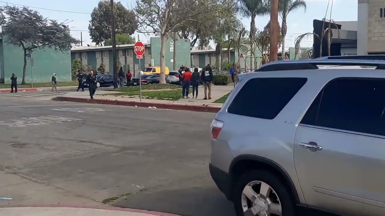 Chaos in the Imperial Courts Projects Watts