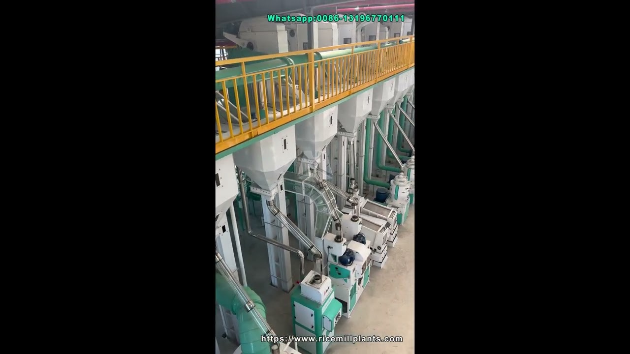 200T/D Rice Milling Plant | Full Processing System from Paddy to Finished Rice 