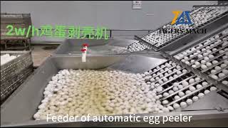 Commercial Egg Peeling Machine for White Egg from Egg Peeling Machine Factory