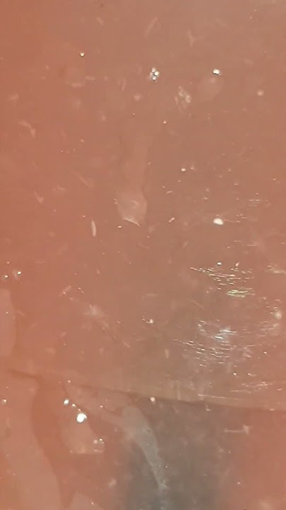 [問卦] 有蟲卵的西瓜汁？