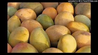 Agrobuzz- Jamaicas Pest Risk Analysis Unit Works With Mango Farmers And Exporters