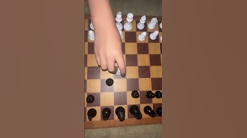 How to play soller gambit #chess #fyp #beginnerchess #funny #viral
