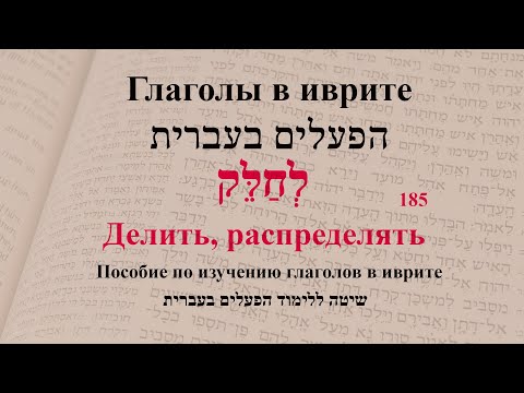 Глаголы в иврите. Глагол 185 "Делить, распределять". Спряжение глаголов в иврите