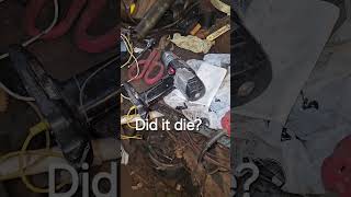 I Hooked A 56 Volt Battery To A 19.2 Volt Drill...