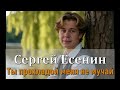 Сергей Есенин - Ты прохладой меня не мучай #есенин #песня #isenin #музыкадлядуши