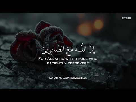 تلاوة هادئة تريح القلب والعقل | ساعة كاملة | Calm Quran Recitation