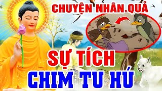 Chuyện Nhân Quả Phật Giáo, SỰ TÍCH CHIM TU HÚ - Nhân Quả Báo Ứng Hiện Đời ... | Gieo Nhân Ắt Gặt Quả