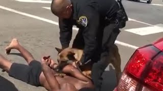Dog Bites Man's Pants and Won't Let Go Until Police Coming the Truth Shocked All Police