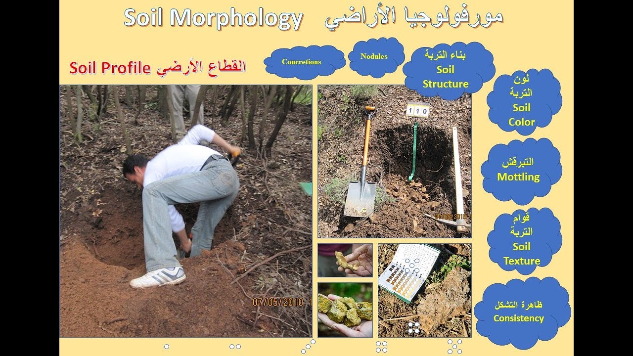 Lecture 2 Part 1 Soil Morphology     محاضرة مورفولوجي الأراضي
