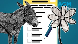 The difference between donkey and informal voting in Australia