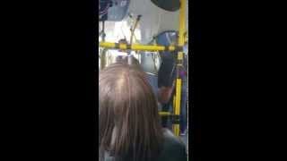 161 bus