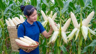 Harvesting Sticky Corn After 90+ Days Care | How to Make Super Delicious Corn Milk Easily 🌽
