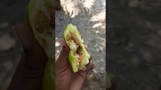 What friut is this #short #foryou #foryourpage #spain #travel #action #explore #fruit #españa