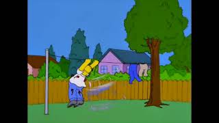 Homer gives Marge Roses