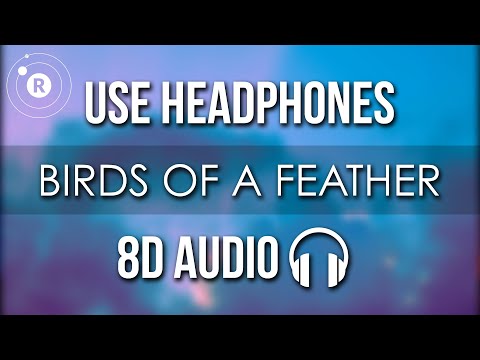 Billie Eilish - BIRDS OF A FEATHER (8D AUDIO) (Lyrics)