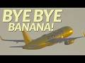 The Last Spirit Airlines (Banana Plane) Taking off on LA Flights from LAX (EMOTIONAL)
