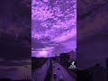 أغنية وراه مالقيت بحالو