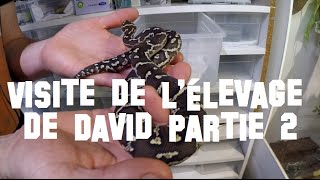 Visite de l'élevage de David partie 2