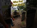 Who Put That There #stump #stumps #stumping #stumpwork #stumpgrinder #stumpgrinding