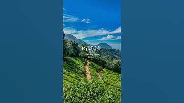 (لهم مايشاءونَ فيها ولدينا مزيد) ماتيسر من سورة ق بصوتٍ عذبٍ رقيق ❤️🌿