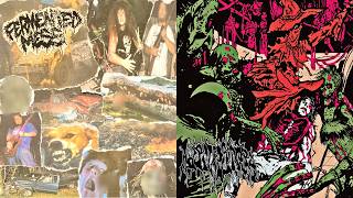 Celebrity Fermented Mess / Harvester - split MC FULL ALBUM (2026 - Grindcore) Profile