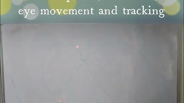 Visual spatial, attention, eye movement and tracking