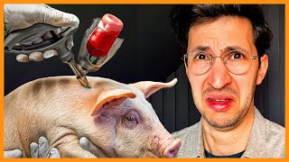 Dein Schnitzel enthält Pferdeblut und Tierärzte verdienen daran by Der Tierarzt - Dr. Karim Montasser 9,845 views 3 weeks ago 10 minutes, 56 seconds