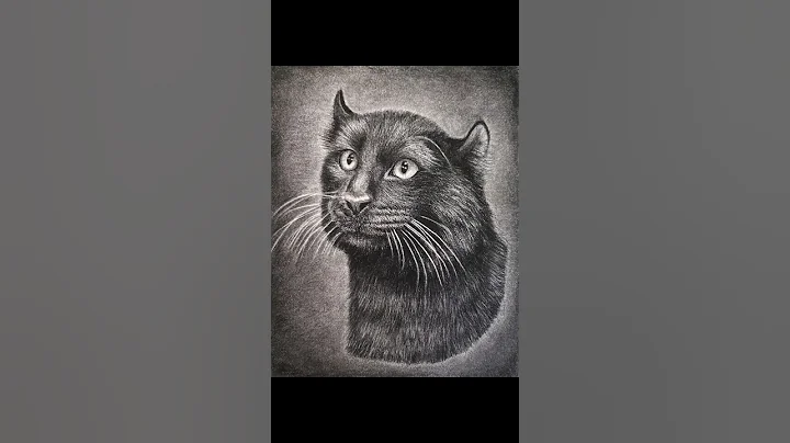 Watch the video about American curl cat pet drawing black and white charcoal