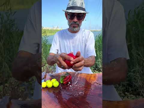 Bahig S Tilapia Is Unlike Any Other Fish The Taste And Quality Make You Feel Like It S Dentex 