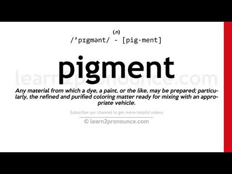 Pronunciation of Pigment | Definition of Pigment