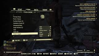 Fallout 76 Jumpscare
