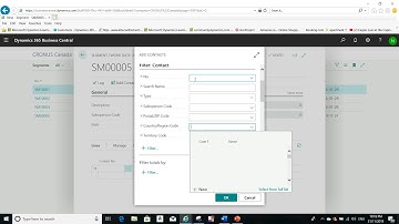 Using Segments in Microsoft Dynamics Business Central