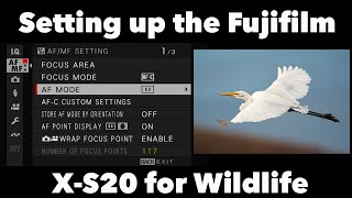 Fujifilm X-S20 For Wildlife Photography