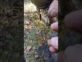 Metal Detecting-This Made My Day !