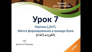 картинка: Урок 7. Места формирования и выхода букв: (الخاء) и (الغين).
