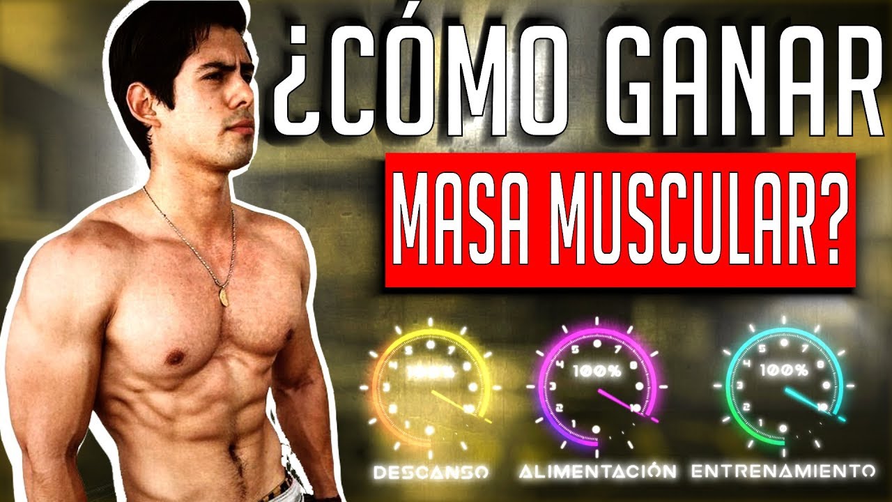 Rutina para ganar masa muscular