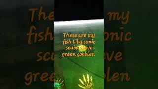 Comment down below if you want to see more videos like this