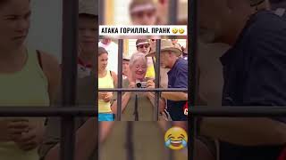 Горилла напала на посетителей 😳