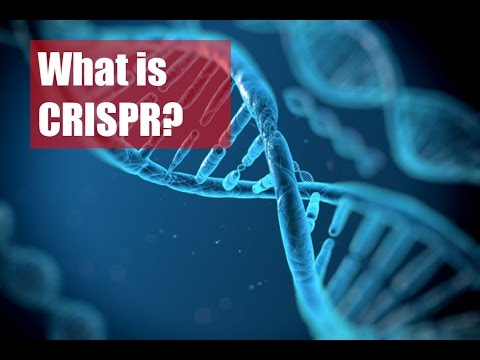 CRISPR: Monster or Miracle?