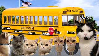 Cat Memes Going On A School Field Trip Part 1